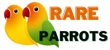 RareParrots